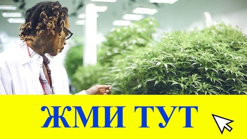 Купить наркотики в Подольске